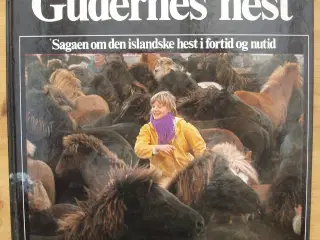 Gudernes hest, sagaen om den islandske hest