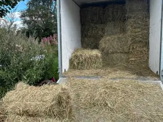 Hø