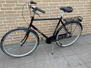 EVERTON retro look herrecykel 