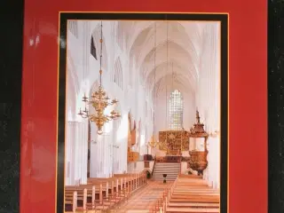 sct. knuds kirke - otte kapitler af odense domkirk