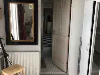 Kolonihave i Odense C