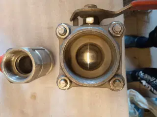 Kuglehaner / stophane