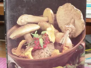 Sopron and Environs a taste of Hungary