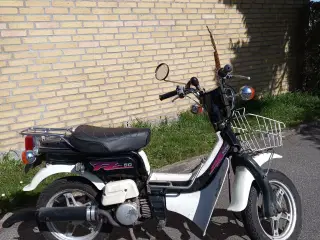 Suzuki FZ50 