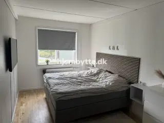 Hjembytte - Bygvænget