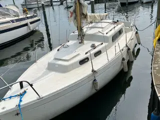 Albin Vega, mulighed for køb af bådplads