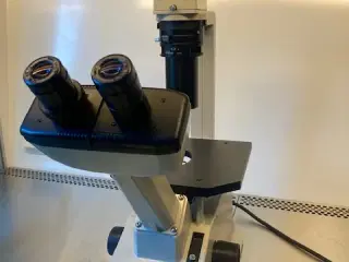 Nikon omvendt mikroskop (celledyrkning)