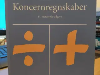 Introduktion til koncernregnskaber, Peter Fredslun