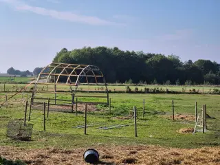 Rundbuehal til div.