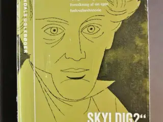 skyldig - ikke skyldig, af søren kierkegaard, emne