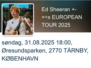 Ed Sheeran koncert 
