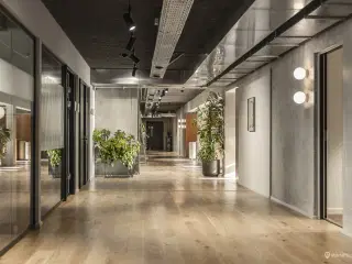Stort kontorlejemål på 1.229 m² med mange indretningsmuligheder