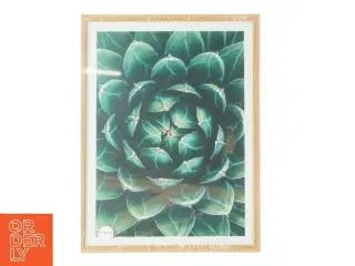 Billedramme i træ (str. LB: 30x40 cm)