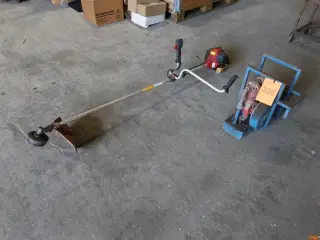 BUSKRYDDER Jonse