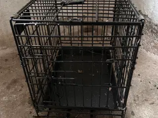 Transportkasse til en mindre hund eller kat
