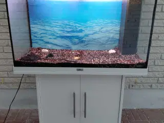 Akvarier 125L 