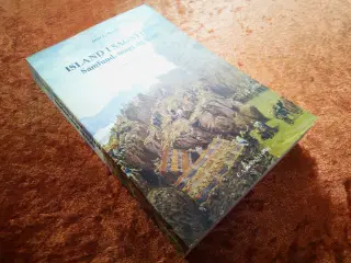Island i sagatiden, Jesse L. Byock