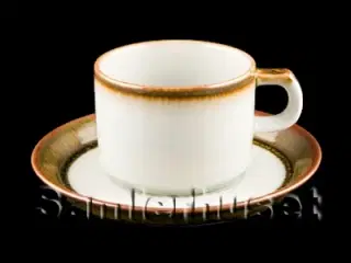 Disko Tekop