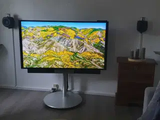 Beovision avant 55"
