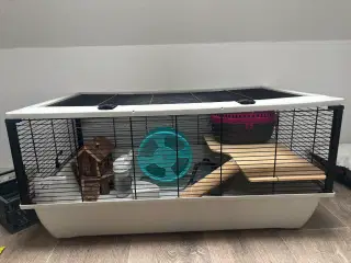 Stort bur til hamster med tilbehør
