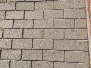 Havefliser (10x20x6) cm