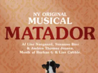 Matador - The Musical i Vejle, 2 stk. Række 3