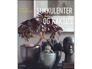 Sukkulenter og Kaktus