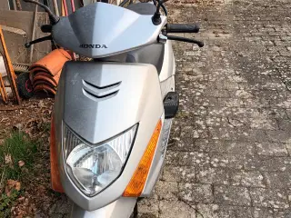 Lille Mc Honda Lead 
