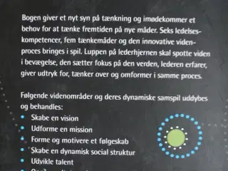 innovation og ledelse - hjernen som medspiller, af