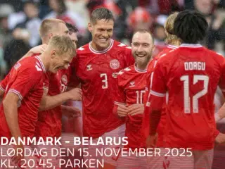 VM Kval: Danmark - Belarus