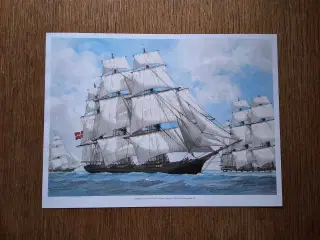 Sejlskib, CIMBER. Danmark. Tegnet af John Gardner