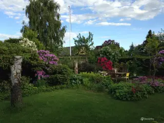 Investeringsejendom i Kolding: Rummelig villa med god beliggenhed og stabil lejer