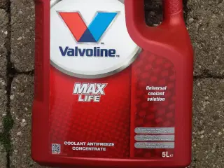 Kølervæske-Valvoline 5 l.