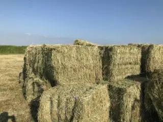 Hø baller