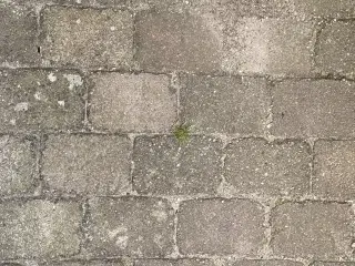 Herregårdsfliser Brugte (ca 20 m2)