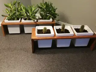 Trip Trap planteopsats