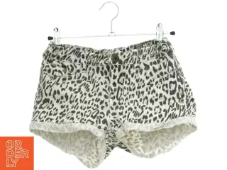 Shorts fra Molo (str. 152 cm)