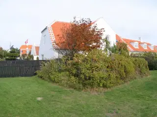Unikt Gl. Skagens hus, n�r hav, hede, havn i by til 6 personer, p� 150 m2