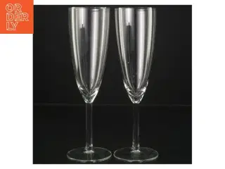Champagneglas (str. 21 cm)