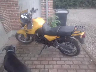 triumph tiger 900cc