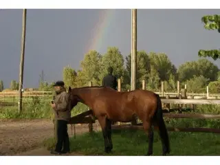 Danmarks eneste voksenrideskole