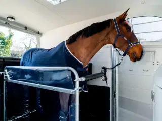 Böckmann Big Champion E