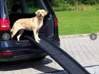 Ny Hunderampe til bilen foldbar Petwalk/Petsafe