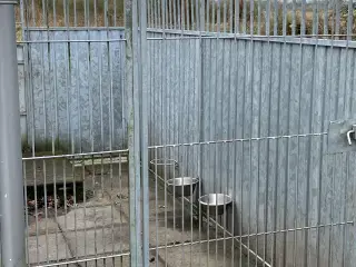 Hundegård halv pris