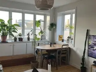 Hyggeligt værelse til leje i dejlig lejlighed, København S, København