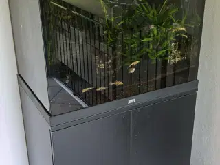Juwel lido akvarium 