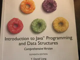 Introduction to Java Programming & Data Structures