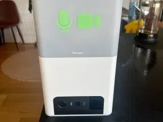 Petcube camera med godbidder