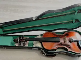 Violin | GulogGratis - Violin til salg - Køb en brugt billigt - Se online
