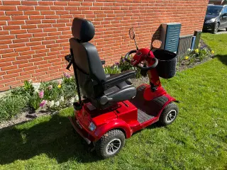 El scooter 